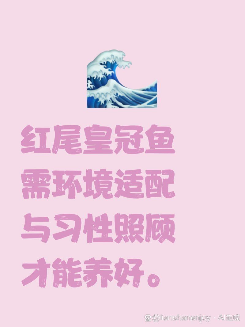 皇冠魚最怕三個東西：紅尾皇冠魚養殖技術