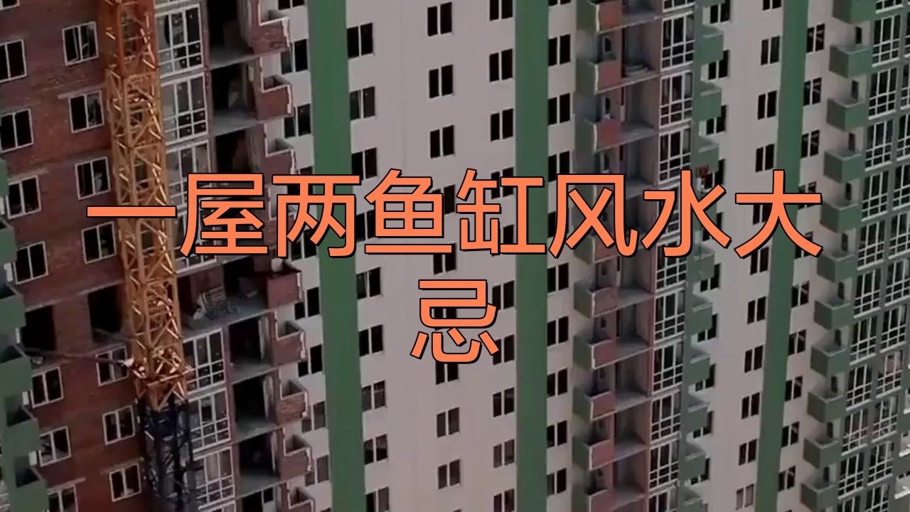 兩缸魚不吉利的原因：“兩缸魚不吉利”的說法源于民間傳統習俗與風水觀念