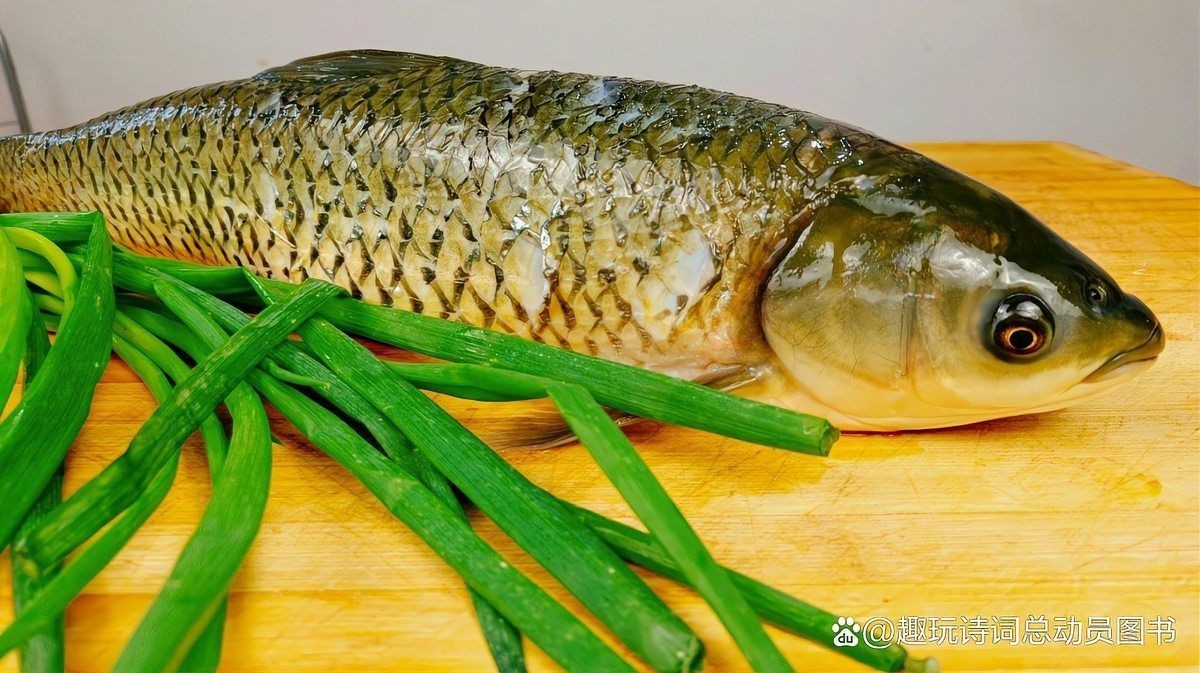 廣東人說的鯇魚是草魚嗎：廣東人所說的“鯇魚”是什么？