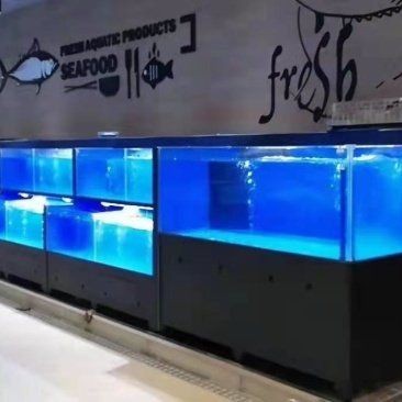 畢節魚缸批發市場：畢節魚缸批發市場分析