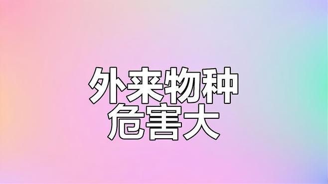 家里養鱷雀鱔好不好：鱷雀鱔入侵破壞生態價值，河<strong><mark>南安</mark></strong>陽有人釣出“巨型怪魚”