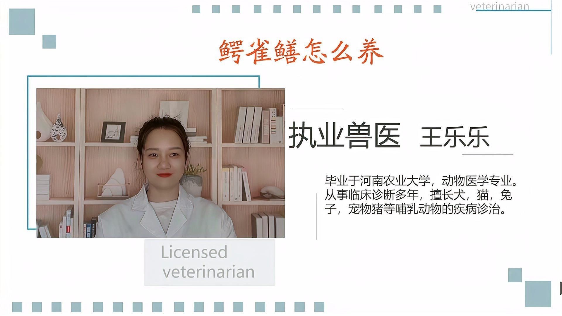 家里養鱷雀鱔好不好：鱷雀鱔入侵破壞生態價值，河南安陽有人釣出“巨型怪魚”