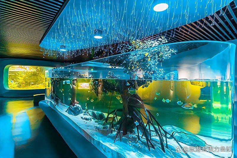 臺州魚缸定做：臺州亞克力魚缸定做