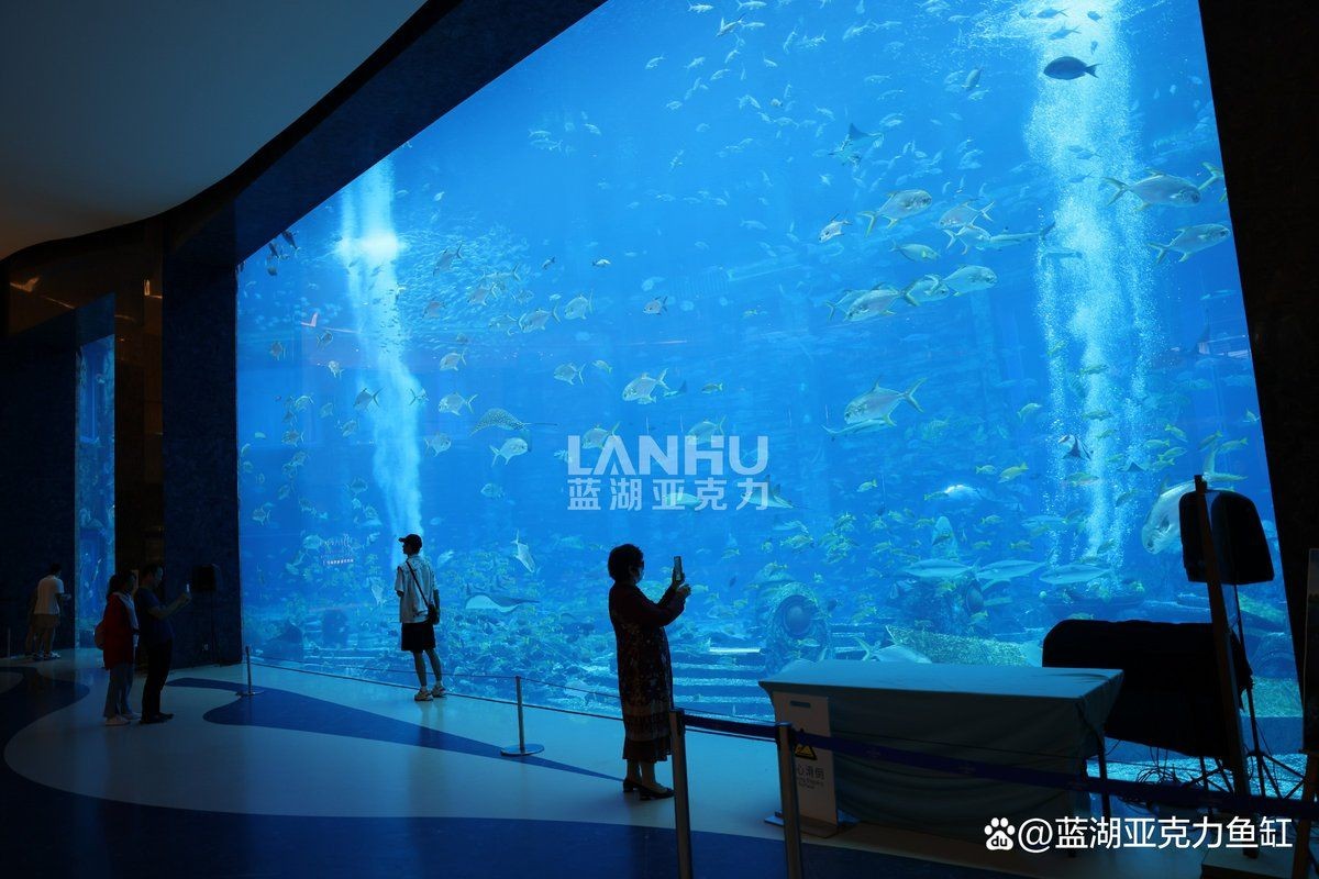 楚雄彝族自治州魚缸定做：楚雄彝族自治州魚缸定做服務