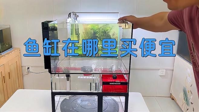 買魚缸哪里便宜：如何選購便宜魚缸？