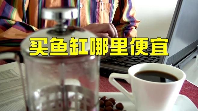 買魚缸哪里便宜：如何選購便宜魚缸？
