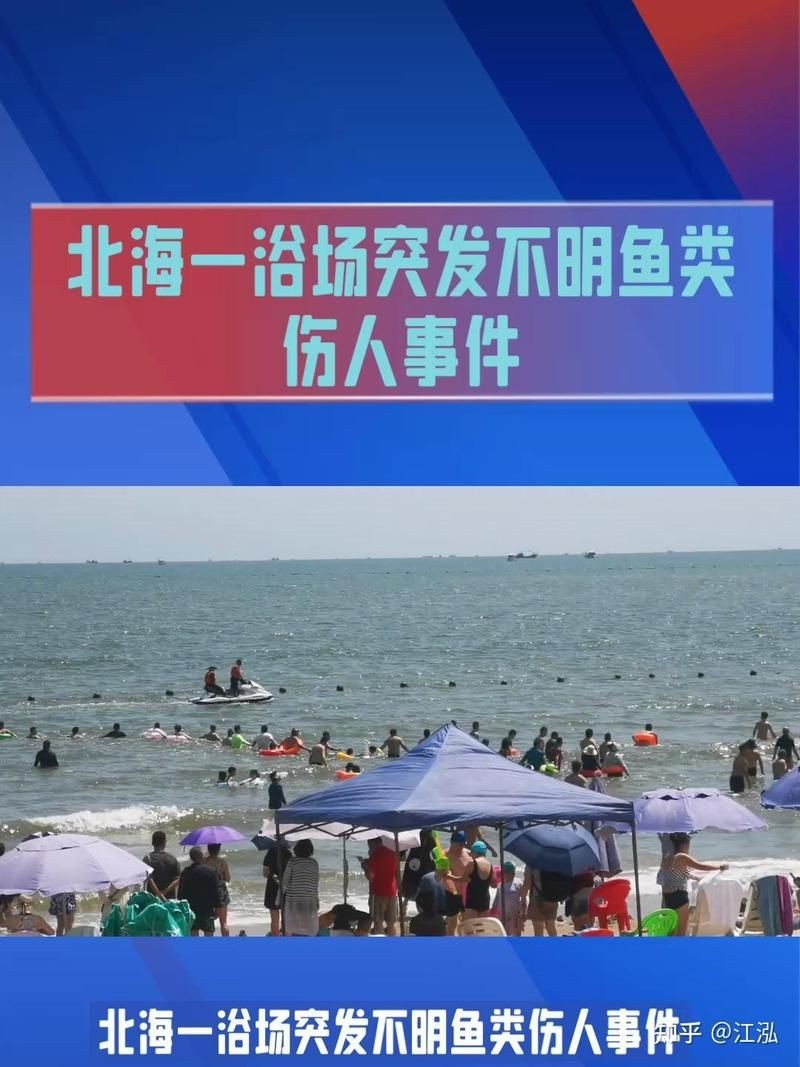 號半龍魚咬人后圖片：“號半龍魚咬人后”圖片引發關注