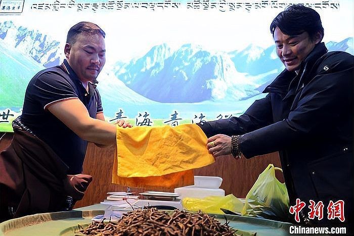 果洛藏族自治州水族批發市場：果洛州水族批發市場