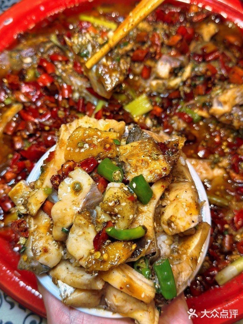 買什么鳳魚好：如何挑選優(yōu)質(zhì)鳳魚