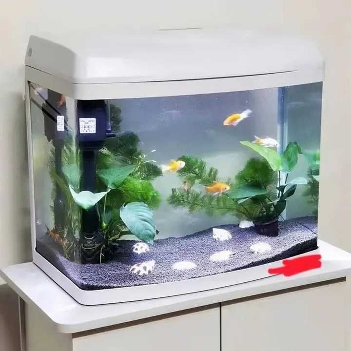 德宏傣族景頗族自治州魚缸批發(fā)市場：云南德宏傣族景頗族自治州魚缸批發(fā)市場