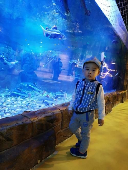 河南一二水族分布圖：《河南一二水族分布圖》
