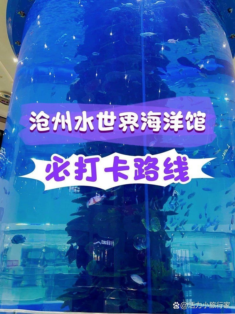 滄州水族店：滄州水族店助力更多人開啟水族愛好者交流與學(xué)習(xí)的重要平臺(tái)