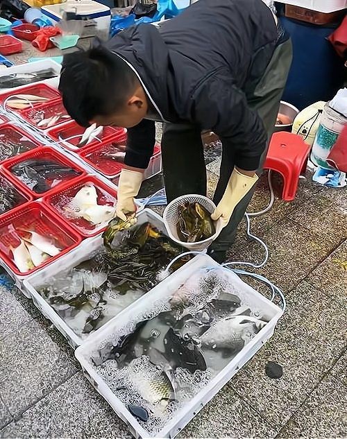 怒江傈僳族自治州魚缸店：怒江傈僳族自治州一家獨特魚缸店巧妙融合了當地自然生態與傈僳族文化特色