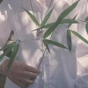 河里常見的小魚品種：河流生態系統中常見的小型魚類
