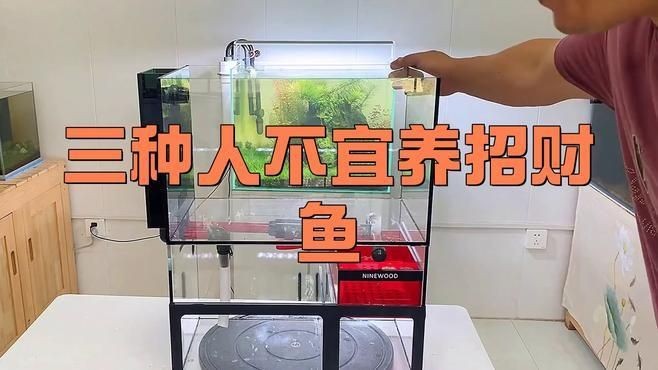 三種人不宜放魚缸：什么人家里不適合放魚缸
