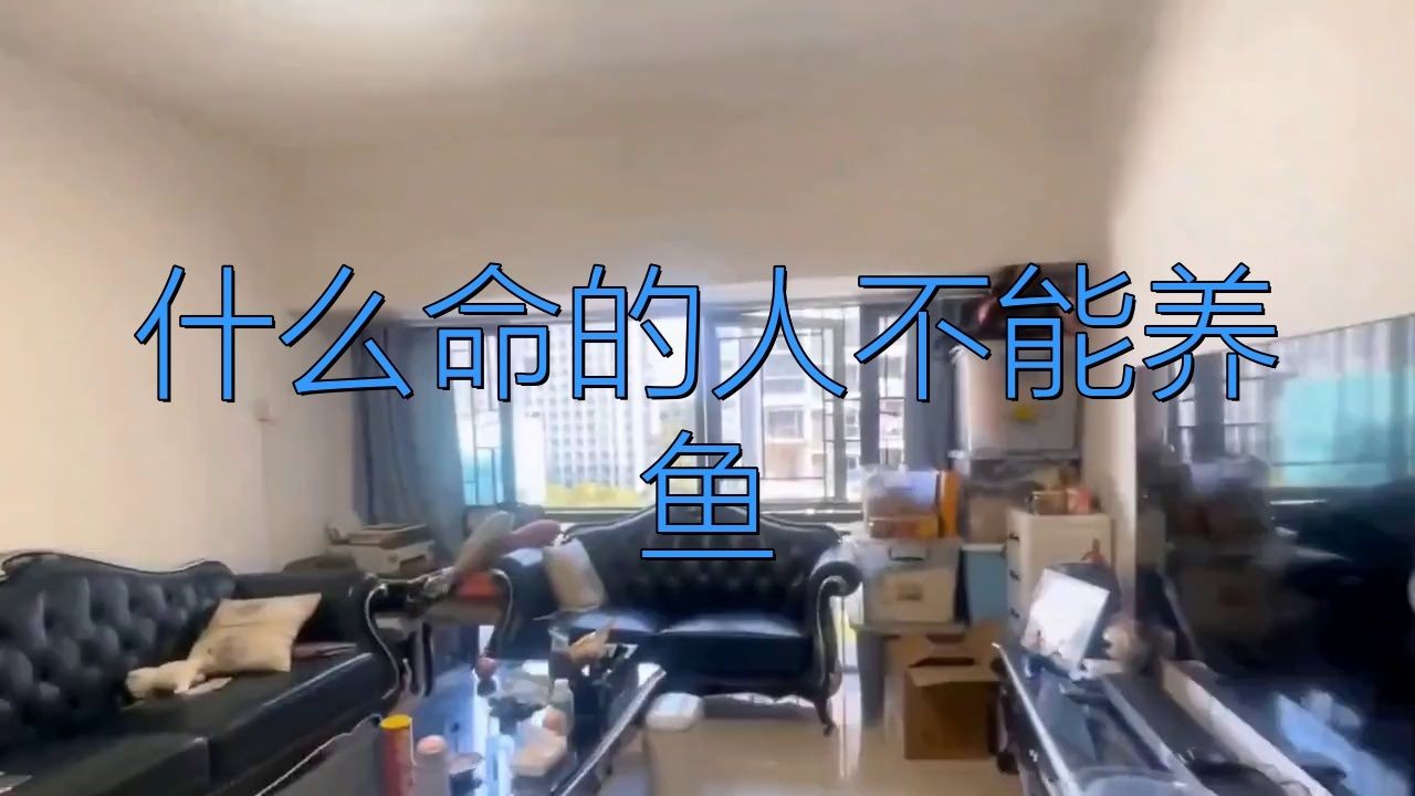 三種人不宜放魚缸：什么人家里不適合放魚缸
