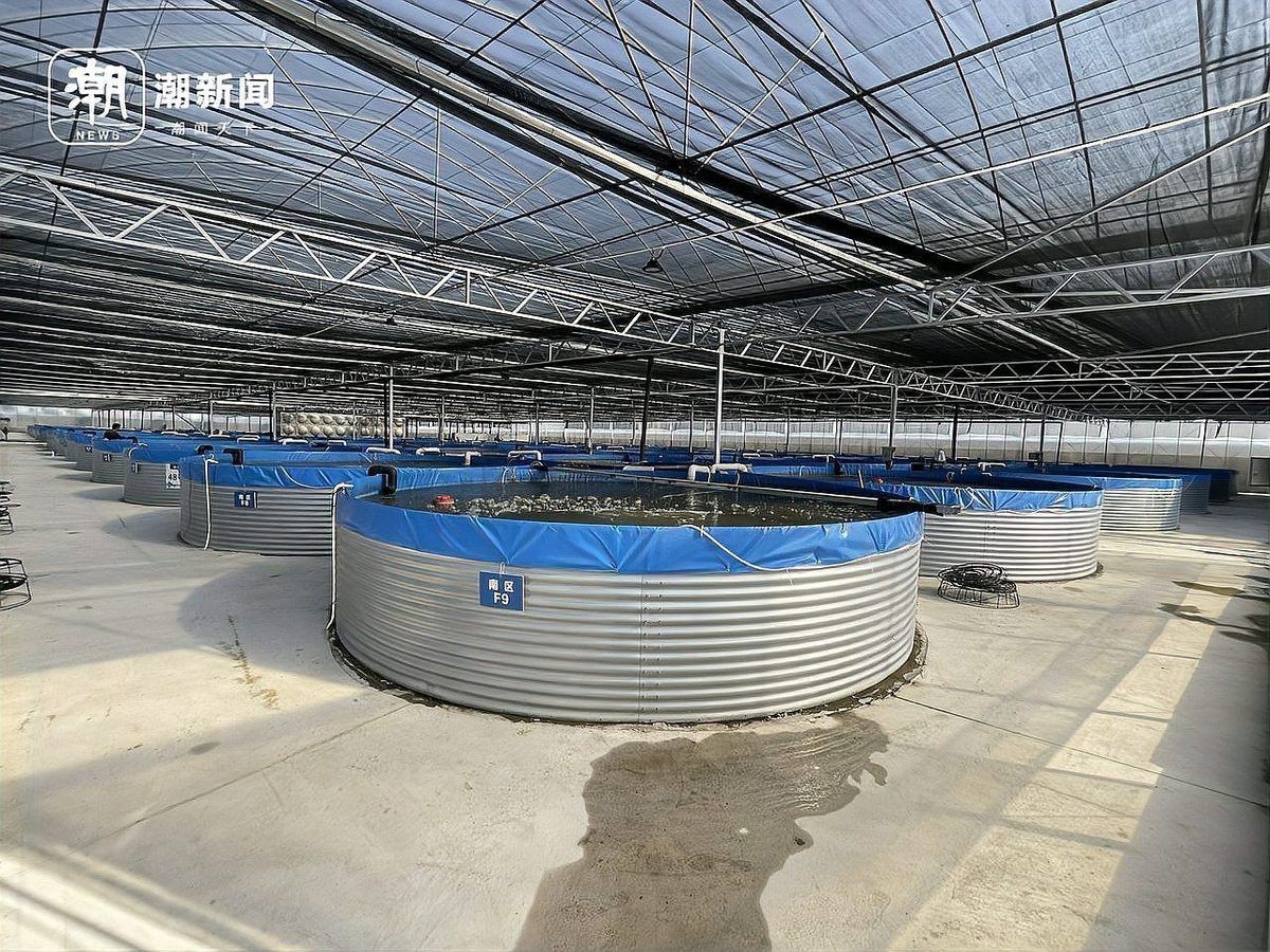 中國十大養魚：中國水產養殖十大省份排名