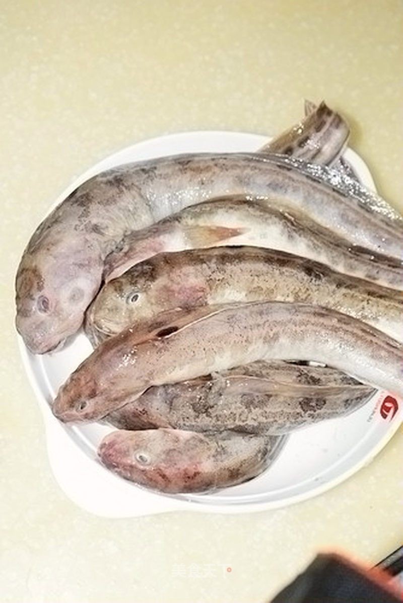 海鯰魚圖片大全：「海鯰魚全攻略」7款特色做法