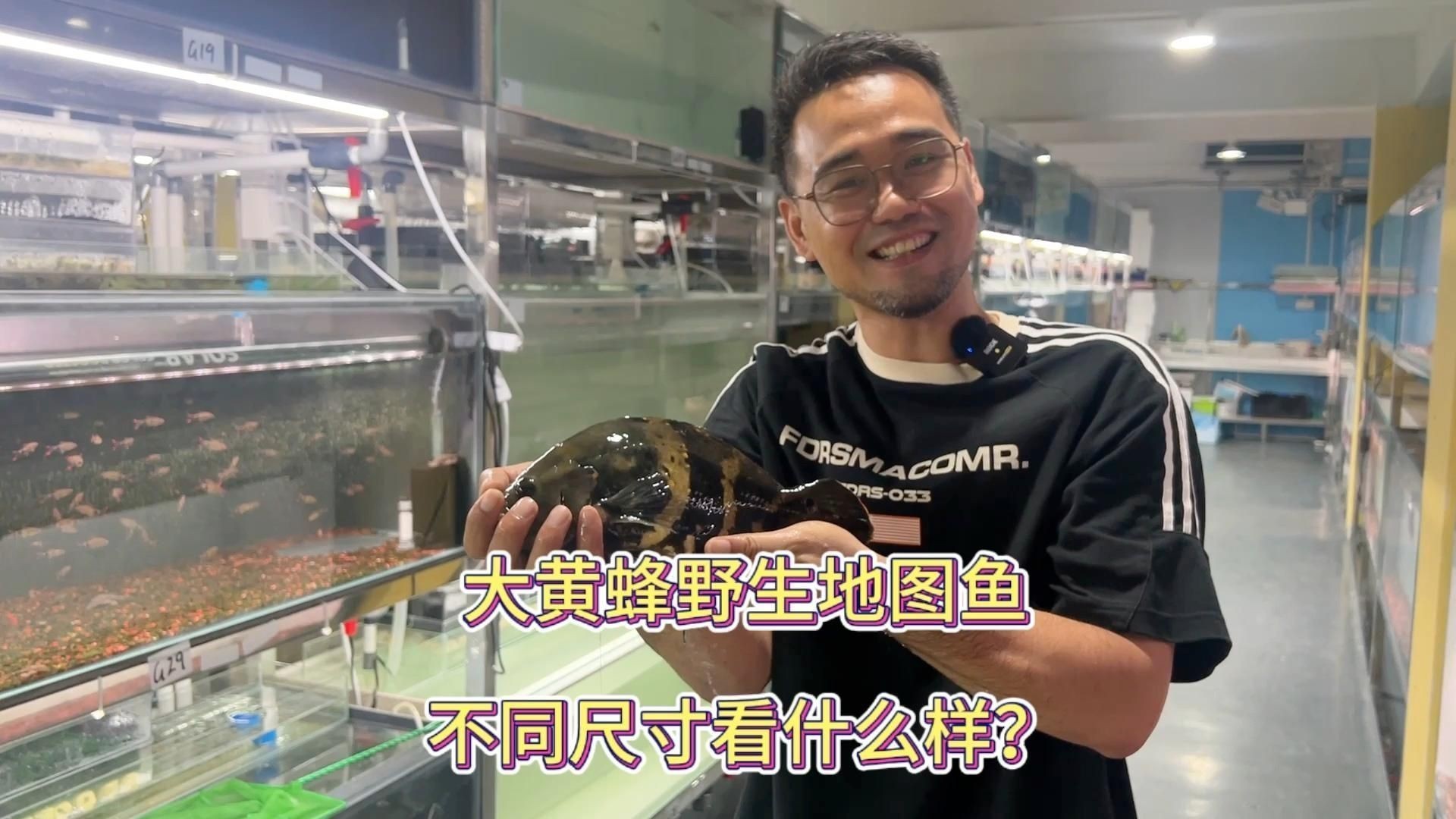 買地圖魚視頻：地圖魚的選購技巧