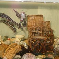 海鯰魚(yú)俗名叫啥：春天吃海魚(yú)別錯(cuò)過(guò)這3種,刺少肉鮮無(wú)養(yǎng)殖行家都搶著買(mǎi)