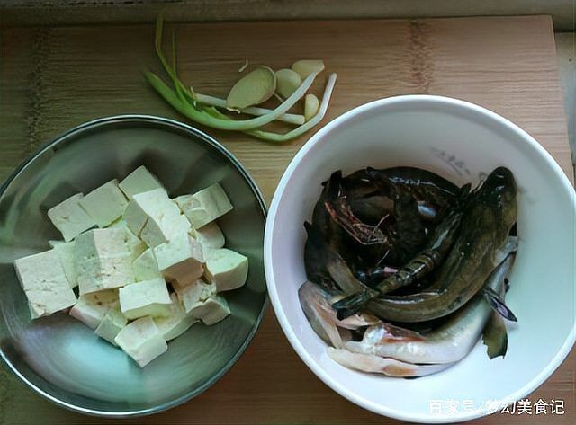 海鯰魚(yú)俗名叫啥：春天吃海魚(yú)別錯(cuò)過(guò)這3種,刺少肉鮮無(wú)養(yǎng)殖行家都搶著買(mǎi)