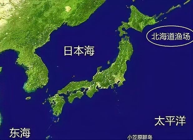 棍子魚是秋刀魚嗎：如何區(qū)分棍子魚和秋刀魚？