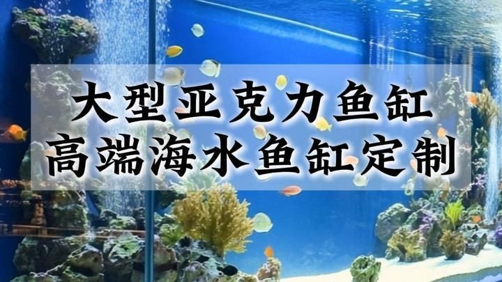 臨夏州魚缸定做：臨夏州魚缸定做服務