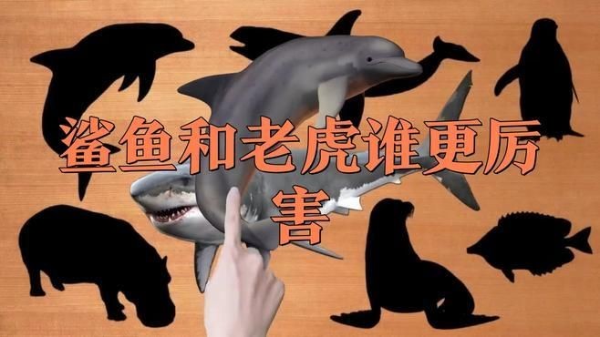 海老虎和虎鯊的區別：“海老虎”與“虎鯊”不同而差異顯著的海洋生物方式