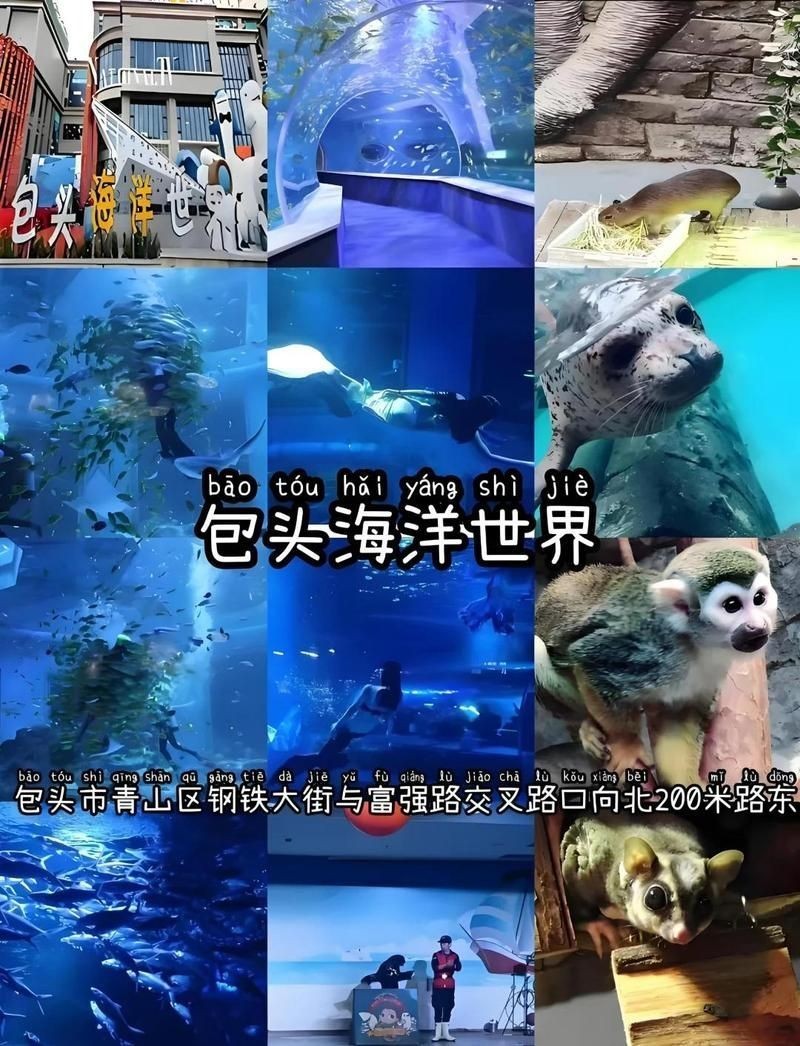 包頭水族店：包頭水族店及海洋主題場(chǎng)館綜合介紹，小白河溫泉水世界