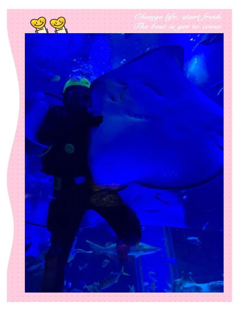 包頭水族店：包頭水族店及海洋主題場(chǎng)館綜合介紹，小白河溫泉水世界