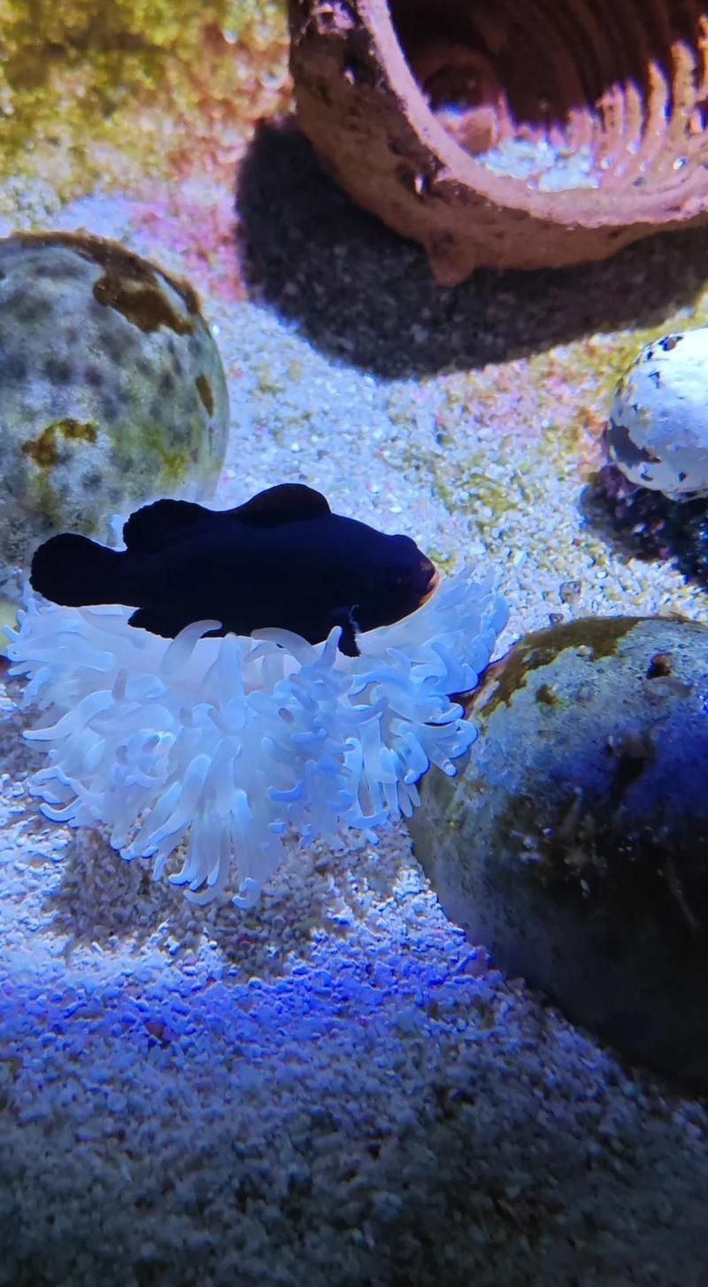 包頭水族店：包頭水族店及海洋主題場(chǎng)館綜合介紹，小白河溫泉水世界