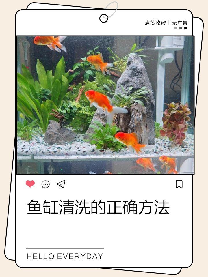 棗莊魚缸維護：棗莊古法魚缸的日常維護及注意事項