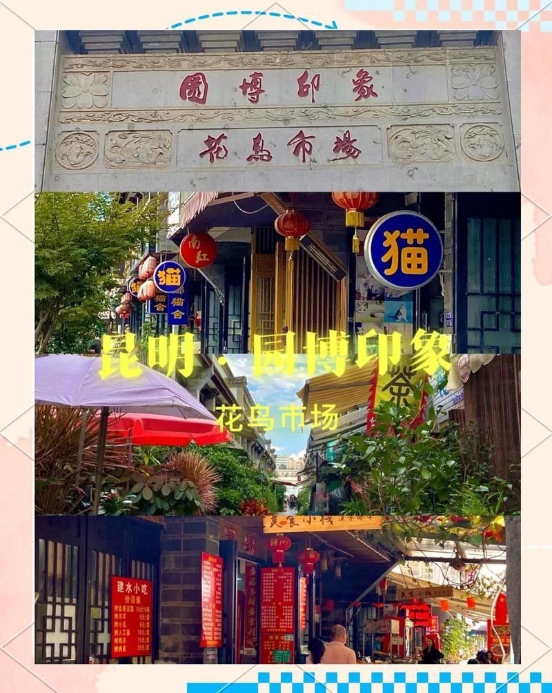 昆明魚缸批發市場：昆明魚缸批發市場怎么樣