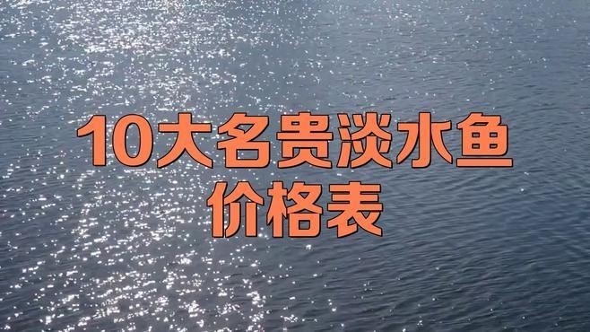 中國最昂貴十大名魚：中國最昂貴的10大名魚（含淡水及咸淡水魚種）價格及特征