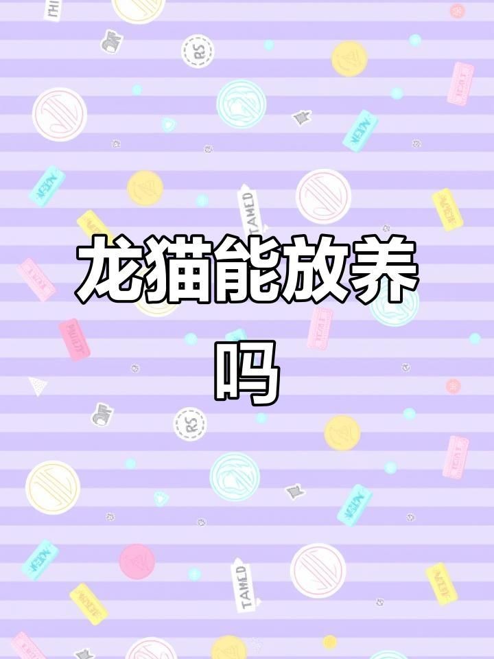 為什么不建議養龍貓：養龍貓的注意事項
