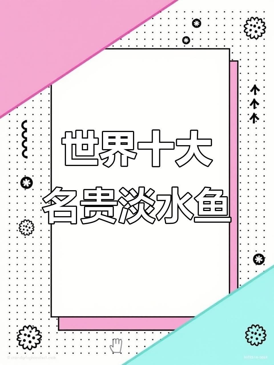 2025年全球最貴魚排名預測：2025年全球最貴魚類排名