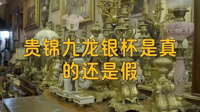 九龍銀杯怎么鑒定真假:九龍銀杯怎么鑒別真假 龍魚百科 第6張 九龍銀杯怎么鑒定真假:九龍銀杯怎么鑒別真假 九龍銀杯怎么鑒定真假:九龍銀杯怎么鑒別真假 龍魚百科 第6張