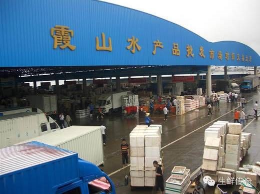 日喀則魚缸批發市場：中國主要水產品批發市場大全,你去過幾個,南方+