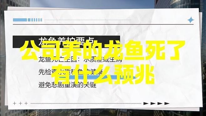 家養龍魚死了是兇是吉：《家養龍魚死了是兇是吉》家養龍魚死了是兇是吉