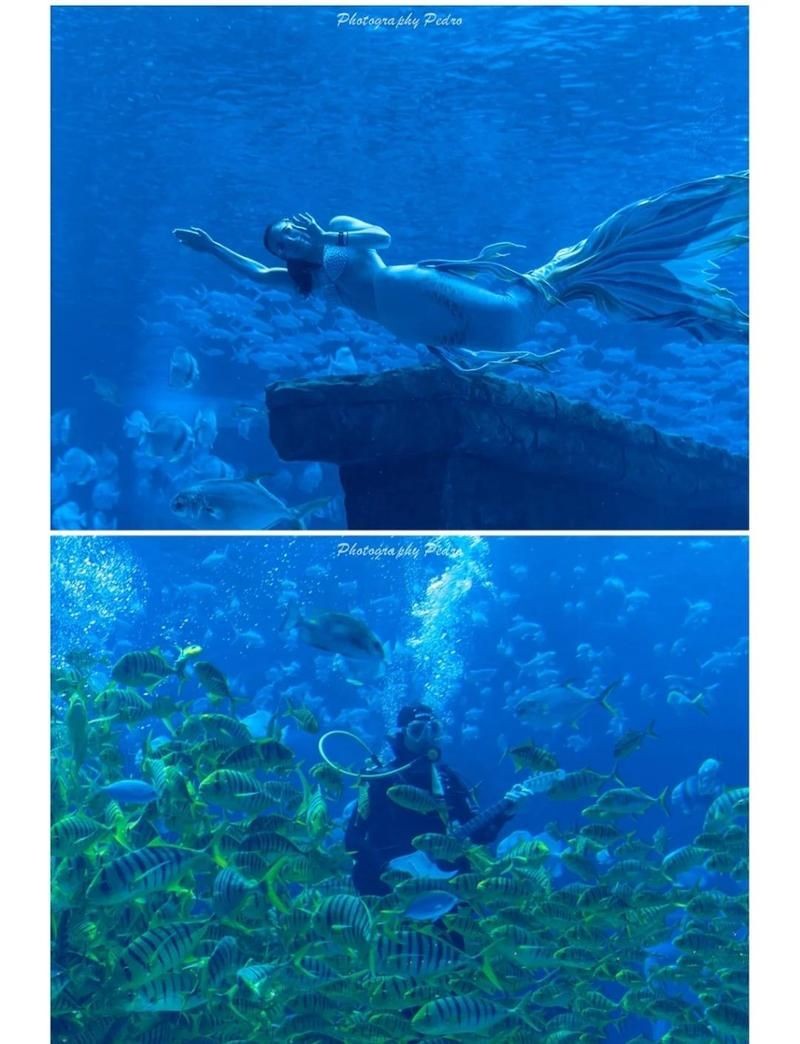 昆明水族館:昆明旅游攻略之昆明水族館 全國水族館企業名錄 第5張 昆明水族館:昆明旅游攻略之昆明水族館 昆明水族館:昆明旅游攻略之昆明水族館 全國水族館企業名錄 第5張