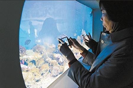 昆明水族館:昆明旅游攻略之昆明水族館 全國水族館企業名錄 第8張 昆明水族館:昆明旅游攻略之昆明水族館 昆明水族館:昆明旅游攻略之昆明水族館 全國水族館企業名錄 第8張