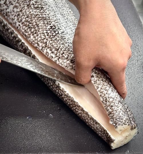 各種血魚(yú)圖片：大西洋鱈魚(yú)如何分辨鱈魚(yú)的真假,別再被名字忽悠了