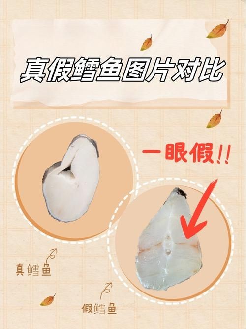 各種血魚(yú)圖片：大西洋鱈魚(yú)如何分辨鱈魚(yú)的真假,別再被名字忽悠了