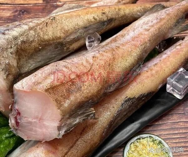 各種血魚(yú)圖片：大西洋鱈魚(yú)如何分辨鱈魚(yú)的真假,別再被名字忽悠了