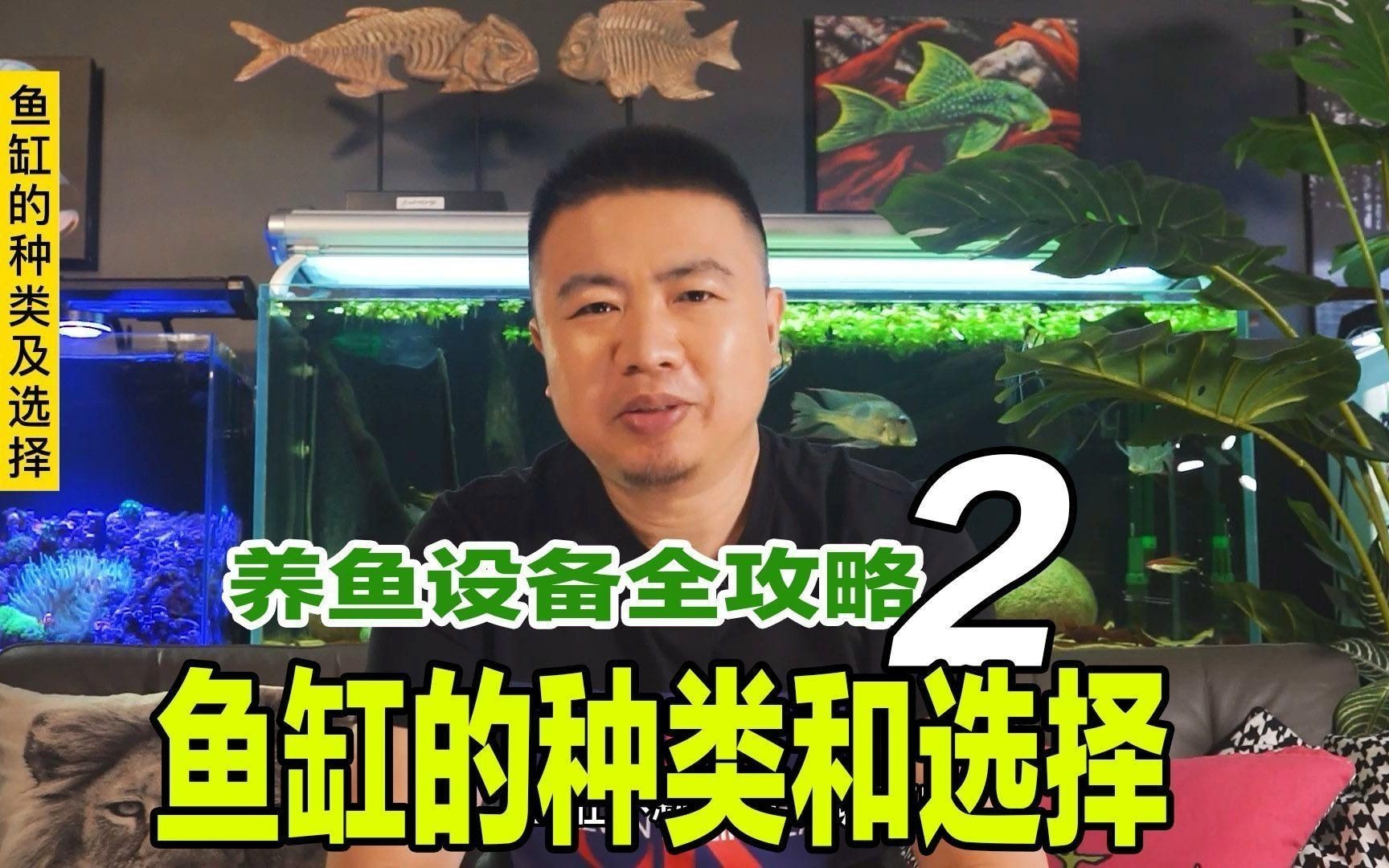 各種魚缸大全：新手入門魚缸大全，適合養(yǎng)魚者的魚缸類型及選購建議