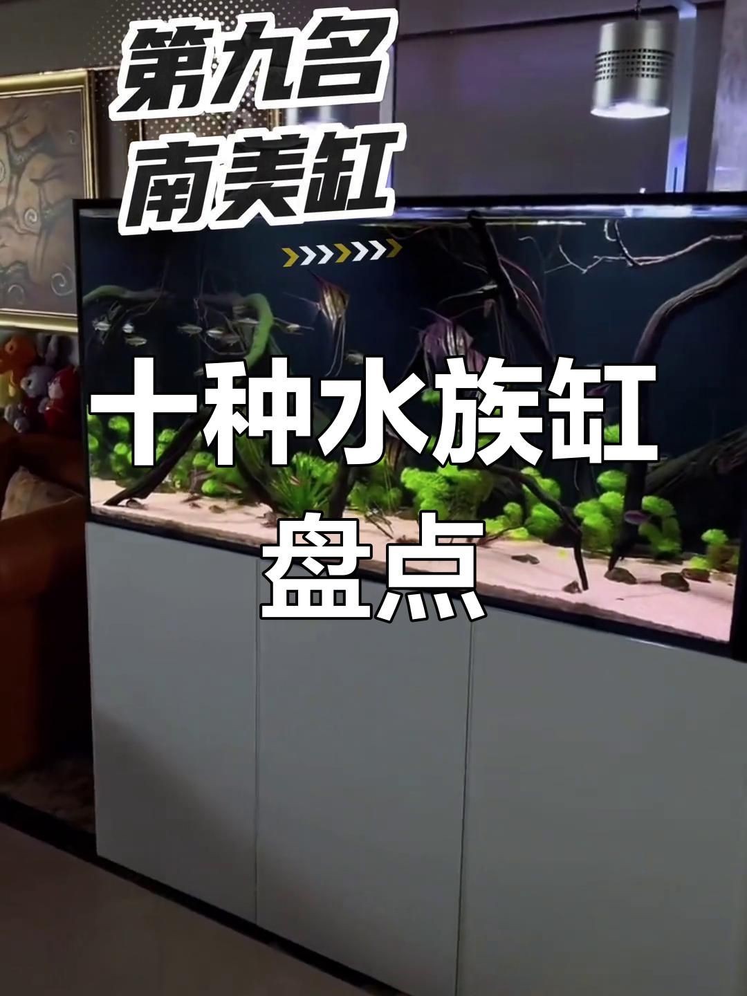 各種魚缸大全：新手入門魚缸大全，適合養(yǎng)魚者的魚缸類型及選購建議
