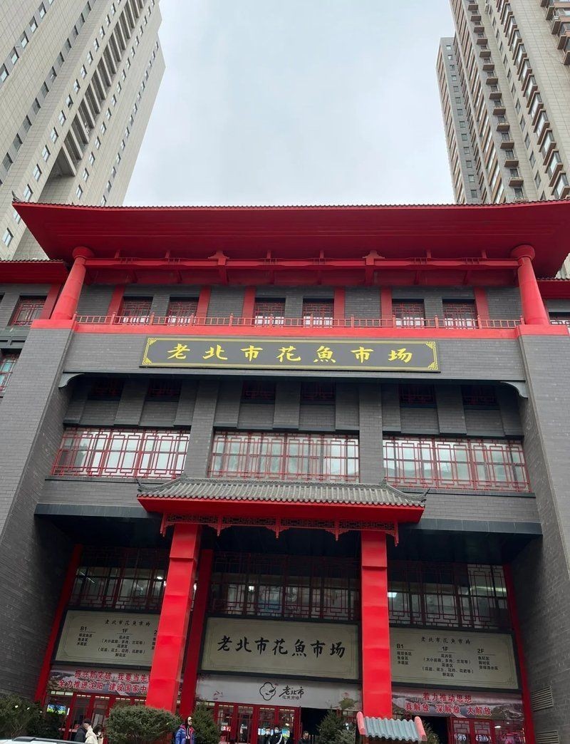 沈陽魚缸店：**《沈陽魚缸店》