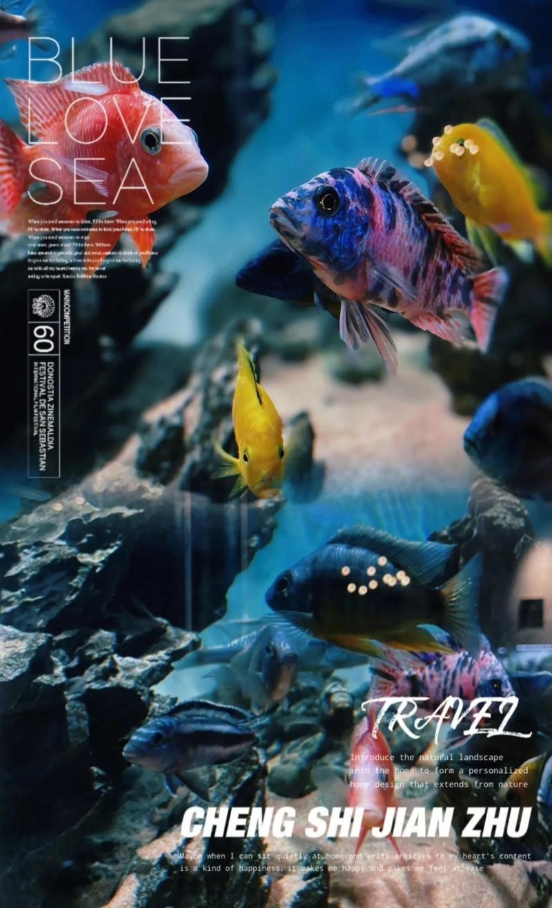 <strong><mark>河源</mark></strong>水族店：<strong><mark>河源</mark></strong>萬綠湖漁業企業<strong><mark>河源</mark></strong>水族店