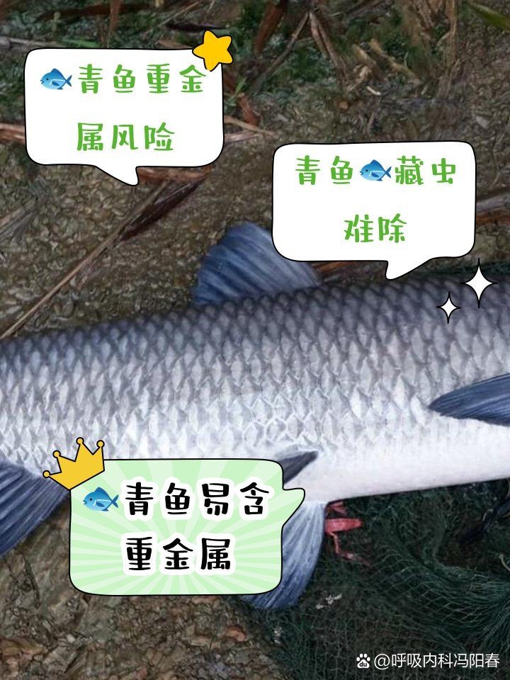 海青魚盡量少吃的原因：醫(yī)生:注意這幾點,保護身體健康,醫(yī)學科普匯