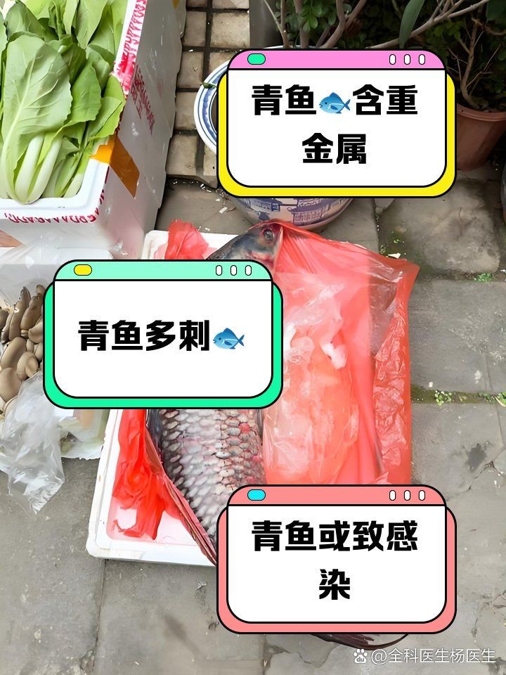 海青魚盡量少吃的原因：醫(yī)生:注意這幾點,保護身體健康,醫(yī)學科普匯